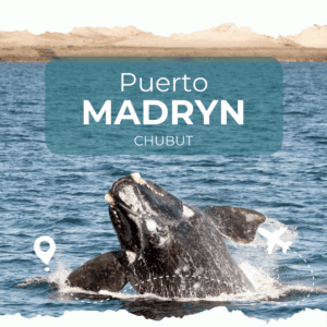 Puerto Madryn