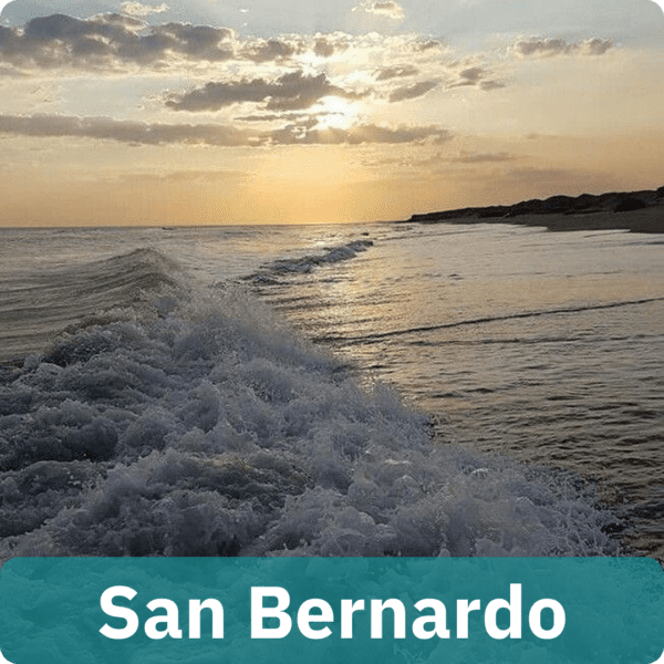 San Bernardo